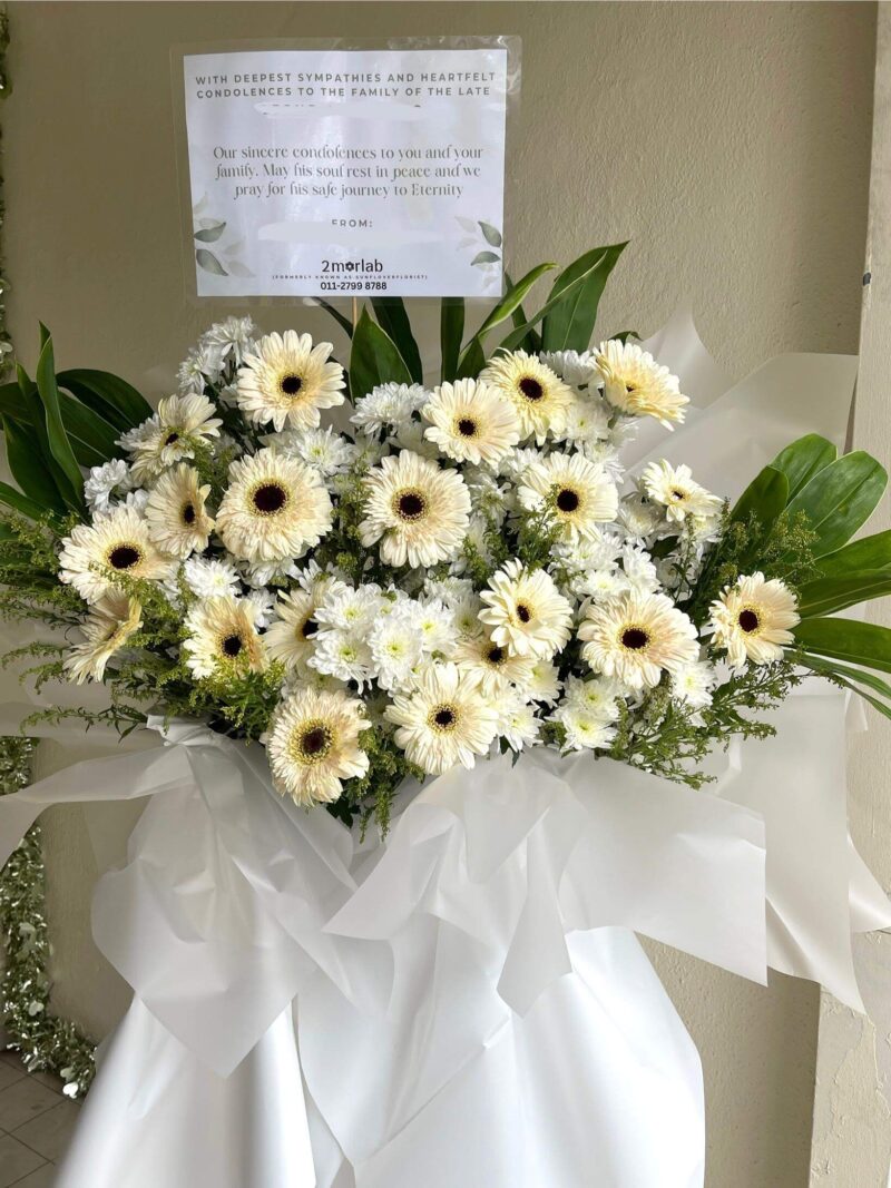 Hope - Image 2